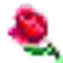 Blooming Beauty logo