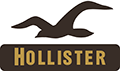 Hollister logo