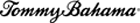 Tommy Bahama Outlet logo